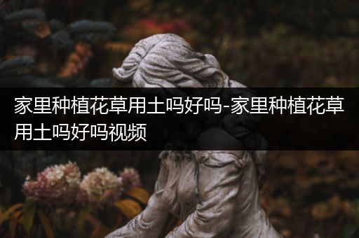 家里种植花草用土吗好吗-家里种植花草用土吗好吗视频