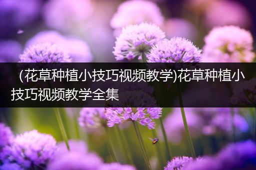 （花草种植小技巧视频教学)花草种植小技巧视频教学全集
