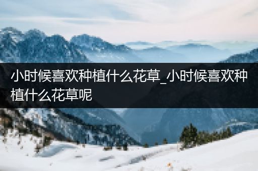 小时候喜欢种植什么花草_小时候喜欢种植什么花草呢