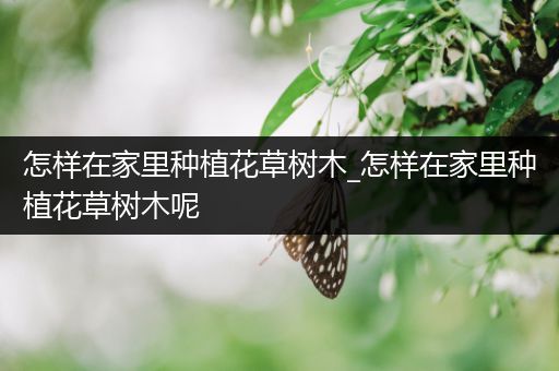 怎样在家里种植花草树木_怎样在家里种植花草树木呢