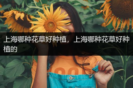 上海哪种花草好种植，上海哪种花草好种植的