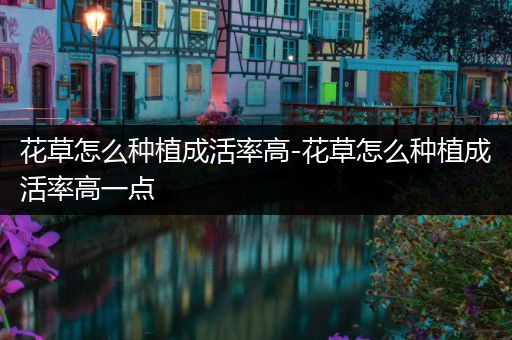 花草怎么种植成活率高-花草怎么种植成活率高一点