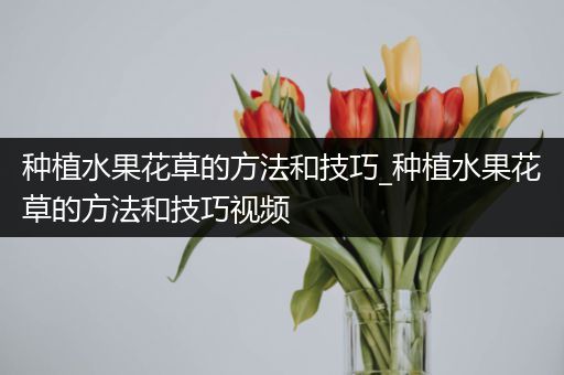 种植水果花草的方法和技巧_种植水果花草的方法和技巧视频