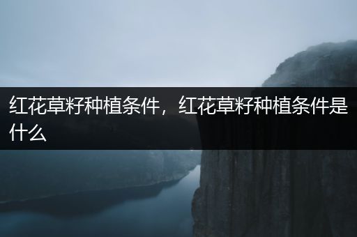 红花草籽种植条件，红花草籽种植条件是什么