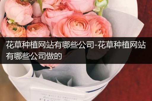 花草种植网站有哪些公司-花草种植网站有哪些公司做的