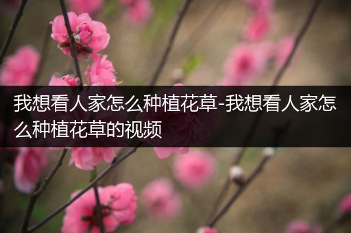 我想看人家怎么种植花草-我想看人家怎么种植花草的视频