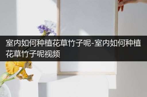 室内如何种植花草竹子呢-室内如何种植花草竹子呢视频