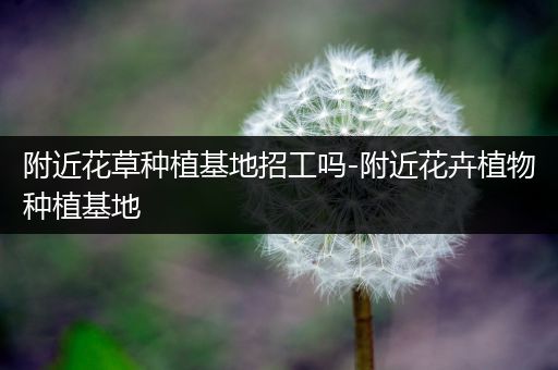 附近花草种植基地招工吗-附近花卉植物种植基地