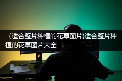 （适合整片种植的花草图片)适合整片种植的花草图片大全