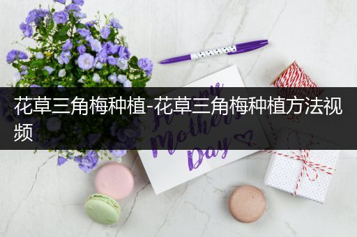 花草三角梅种植-花草三角梅种植方法视频