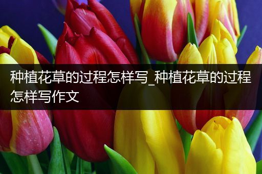 种植花草的过程怎样写_种植花草的过程怎样写作文