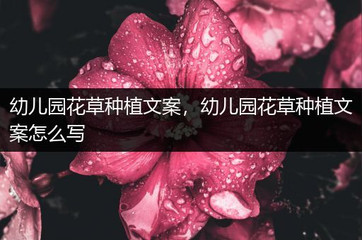 幼儿园花草种植文案，幼儿园花草种植文案怎么写