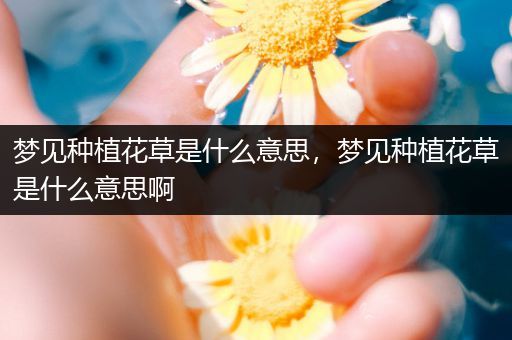 梦见种植花草是什么意思，梦见种植花草是什么意思啊