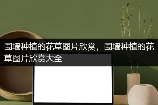 围墙种植的花草图片欣赏，围墙种植的花草图片欣赏大全