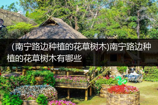（南宁路边种植的花草树木)南宁路边种植的花草树木有哪些