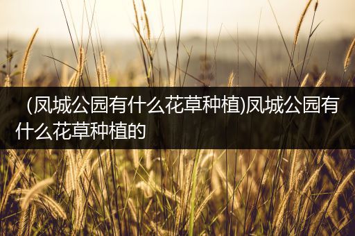 （凤城公园有什么花草种植)凤城公园有什么花草种植的