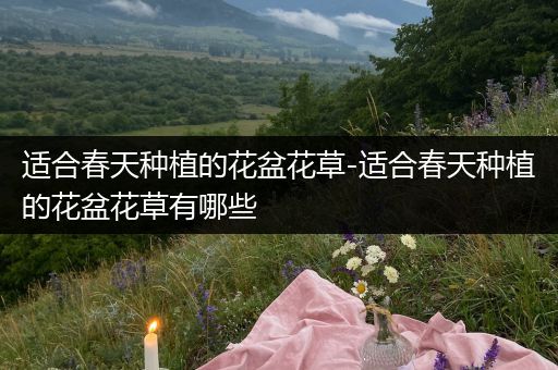 适合春天种植的花盆花草-适合春天种植的花盆花草有哪些