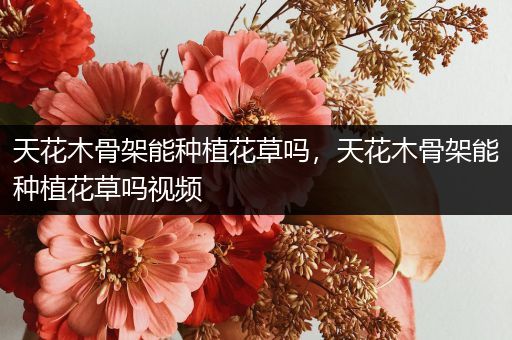 天花木骨架能种植花草吗，天花木骨架能种植花草吗视频