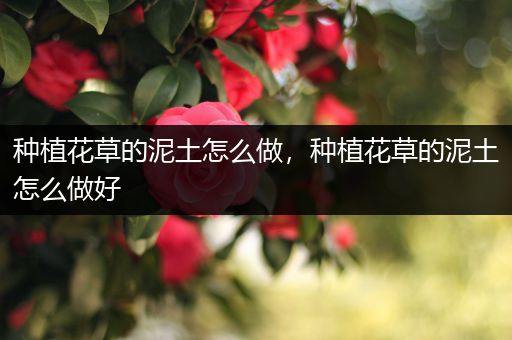 种植花草的泥土怎么做，种植花草的泥土怎么做好