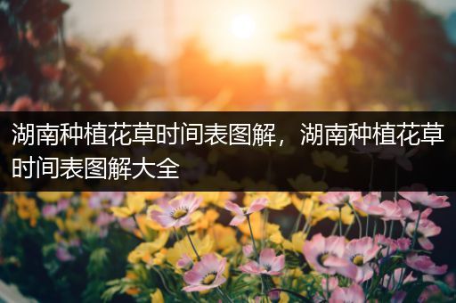 湖南种植花草时间表图解，湖南种植花草时间表图解大全