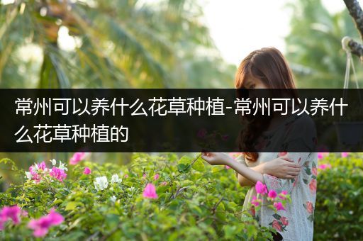 常州可以养什么花草种植-常州可以养什么花草种植的