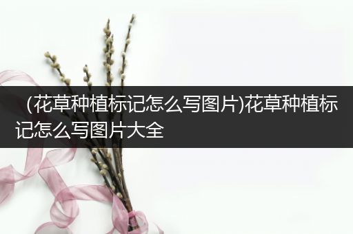 （花草种植标记怎么写图片)花草种植标记怎么写图片大全