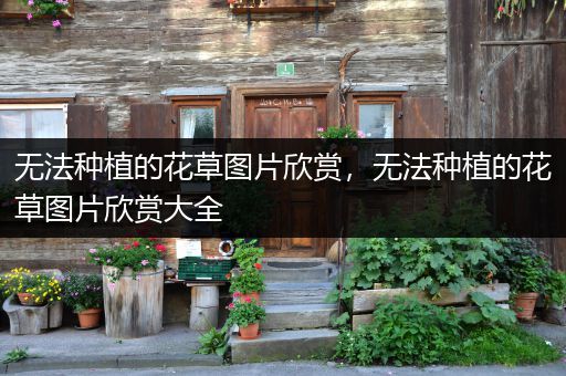 无法种植的花草图片欣赏，无法种植的花草图片欣赏大全