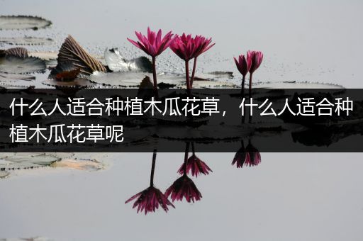 什么人适合种植木瓜花草，什么人适合种植木瓜花草呢
