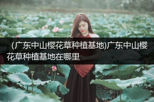 （广东中山樱花草种植基地)广东中山樱花草种植基地在哪里