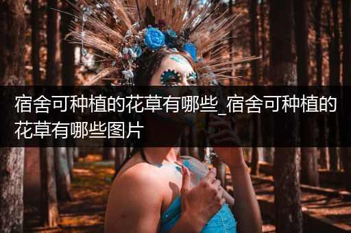宿舍可种植的花草有哪些_宿舍可种植的花草有哪些图片