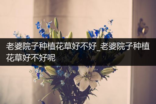 老婆院子种植花草好不好_老婆院子种植花草好不好呢