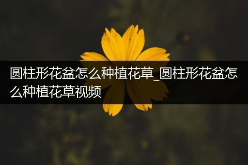 圆柱形花盆怎么种植花草_圆柱形花盆怎么种植花草视频