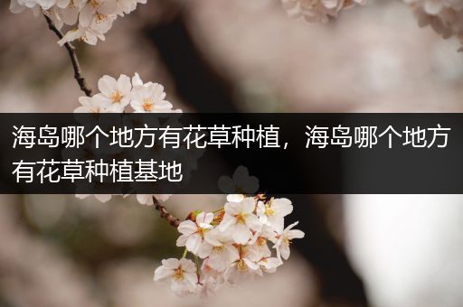 海岛哪个地方有花草种植，海岛哪个地方有花草种植基地