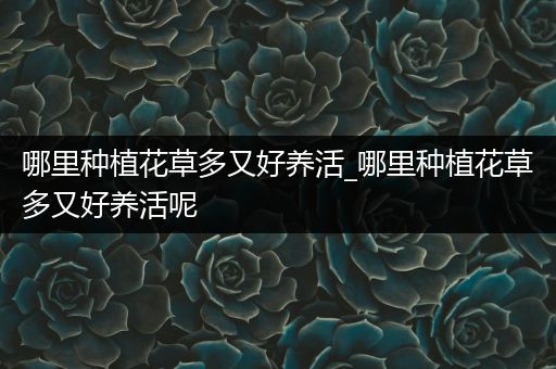 哪里种植花草多又好养活_哪里种植花草多又好养活呢