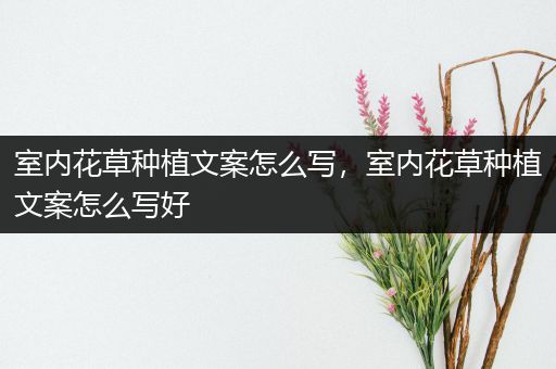 室内花草种植文案怎么写，室内花草种植文案怎么写好