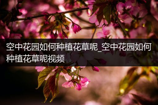 空中花园如何种植花草呢_空中花园如何种植花草呢视频