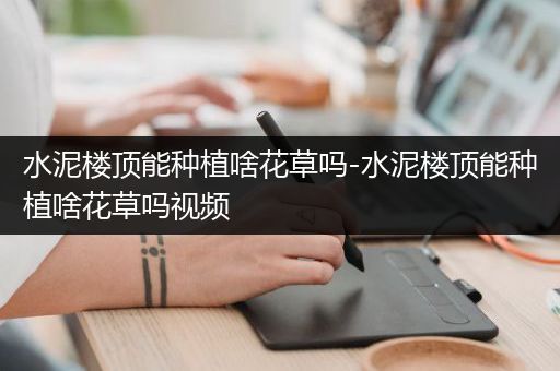 水泥楼顶能种植啥花草吗-水泥楼顶能种植啥花草吗视频