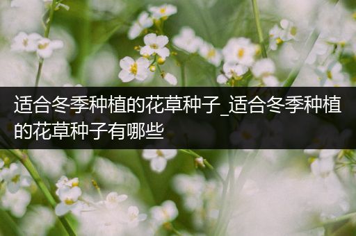适合冬季种植的花草种子_适合冬季种植的花草种子有哪些