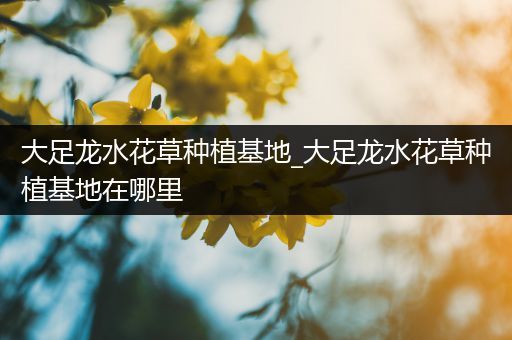 大足龙水花草种植基地_大足龙水花草种植基地在哪里