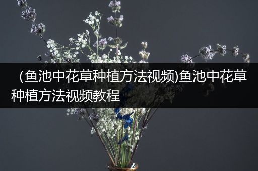 （鱼池中花草种植方法视频)鱼池中花草种植方法视频教程