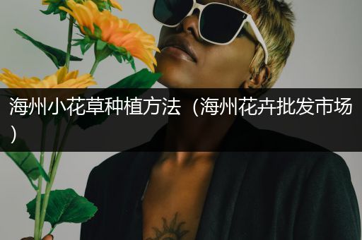 海州小花草种植方法（海州花卉批发市场）