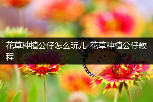 花草种植公仔怎么玩儿-花草种植公仔教程