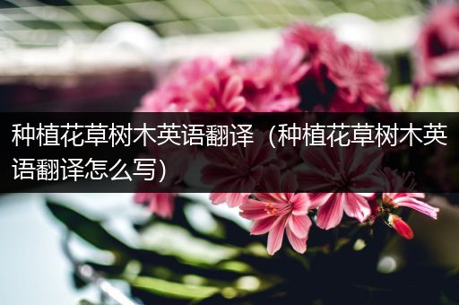 种植花草树木英语翻译（种植花草树木英语翻译怎么写）