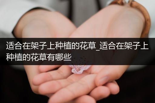 适合在架子上种植的花草_适合在架子上种植的花草有哪些