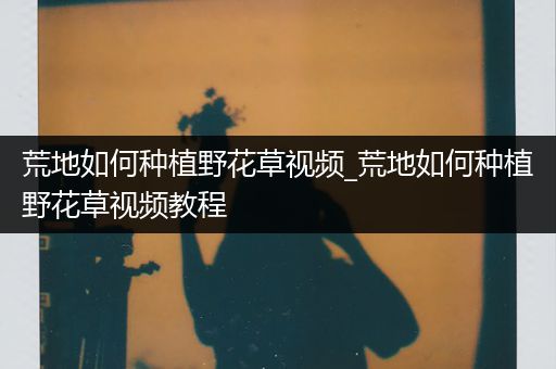 荒地如何种植野花草视频_荒地如何种植野花草视频教程
