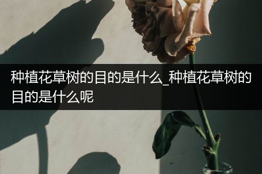 种植花草树的目的是什么_种植花草树的目的是什么呢