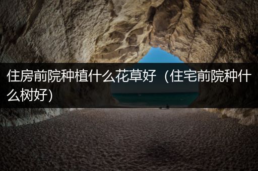 住房前院种植什么花草好（住宅前院种什么树好）