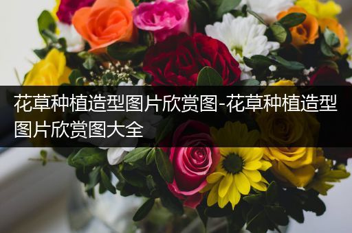 花草种植造型图片欣赏图-花草种植造型图片欣赏图大全