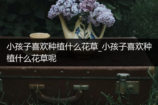 小孩子喜欢种植什么花草_小孩子喜欢种植什么花草呢