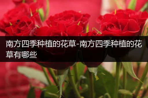 南方四季种植的花草-南方四季种植的花草有哪些